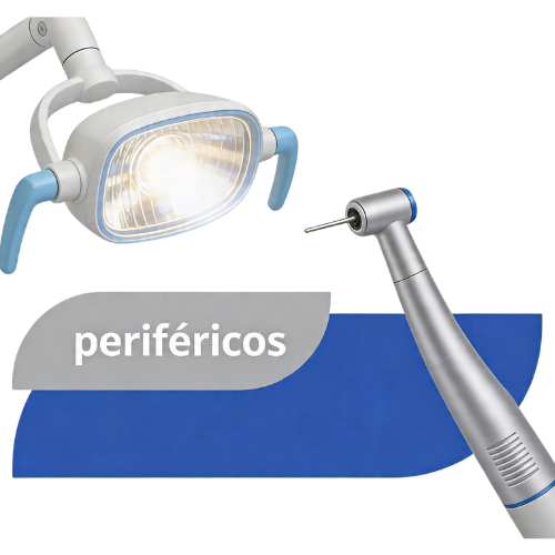 Categoría 1