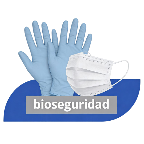 Categoría 2