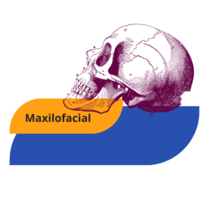Maxilofacial