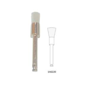 CEPILLITO PARA PROFILAXIS (COPA)